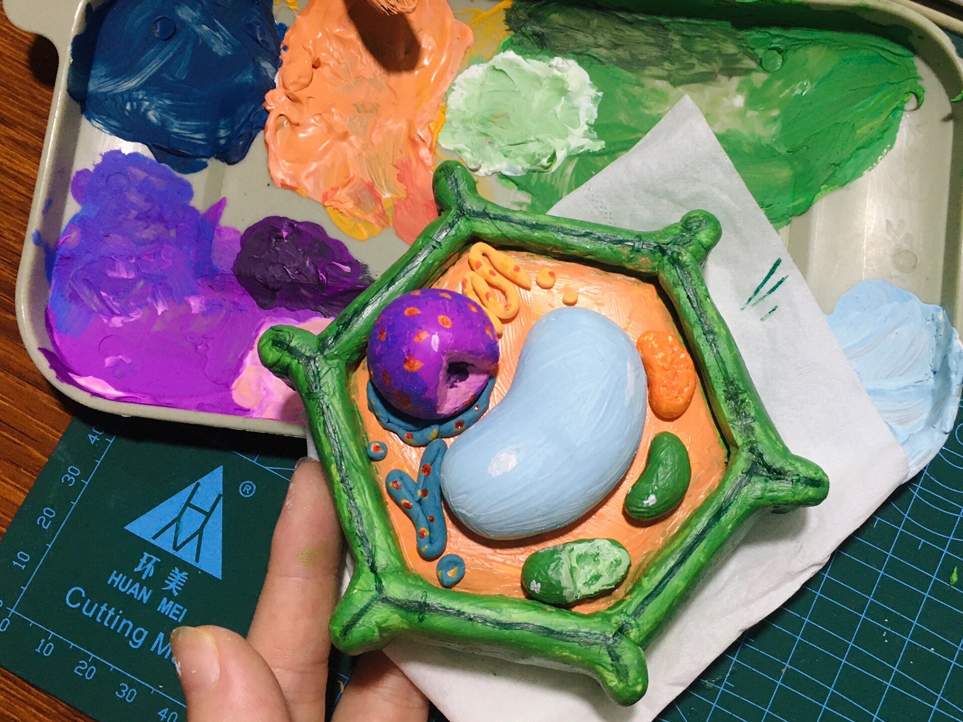 太喜欢高中生物书了(什么怪癖),细胞模型给它安排上,第一次玩超轻粘土