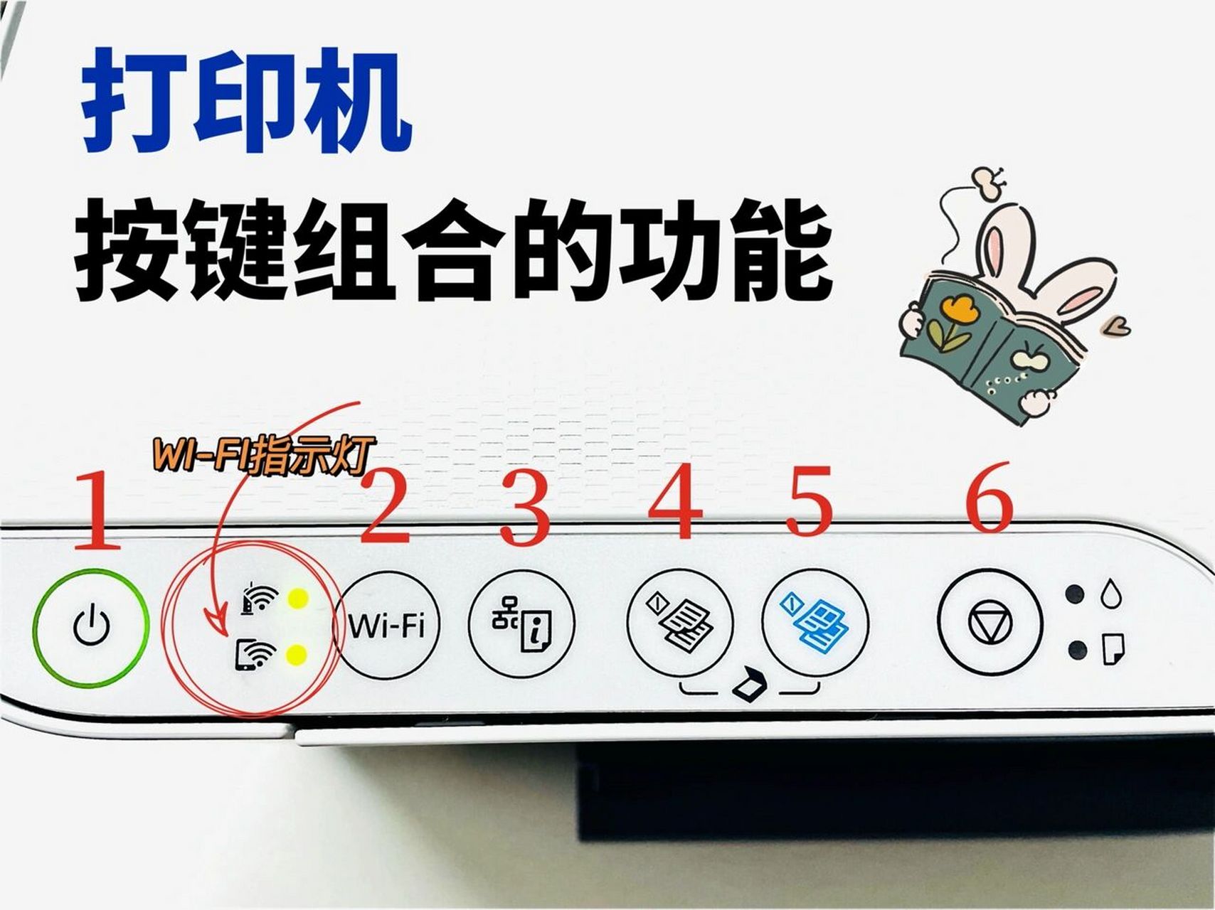 这一期,店长分享的是爱普生l3151 l3153 l3156 l3158通过不同的按钮