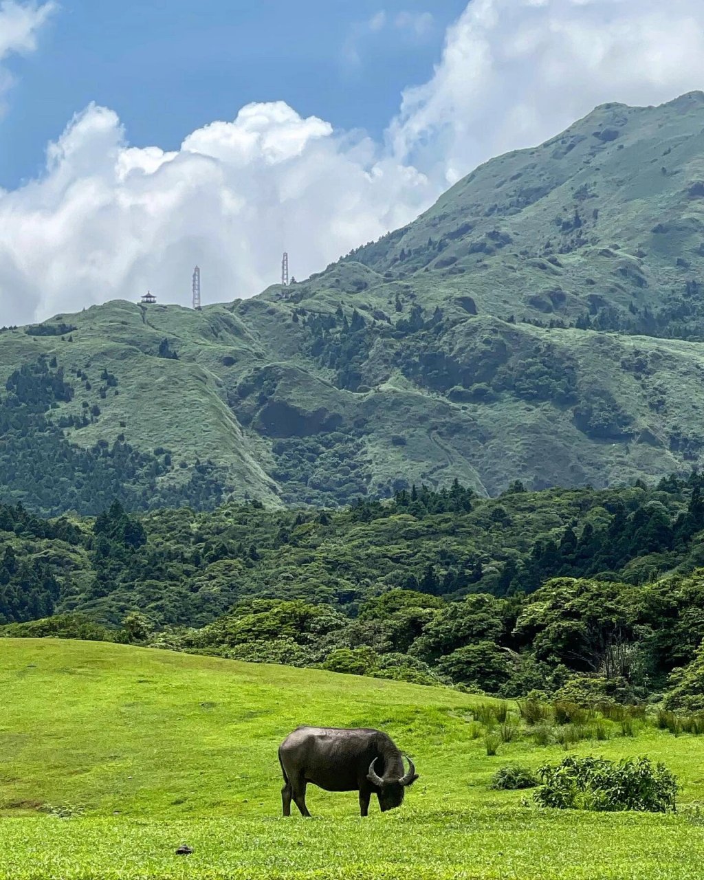 阳明山一日攻略(內文含交通,饮食及景点) 阳明山位于台北市士林区,是
