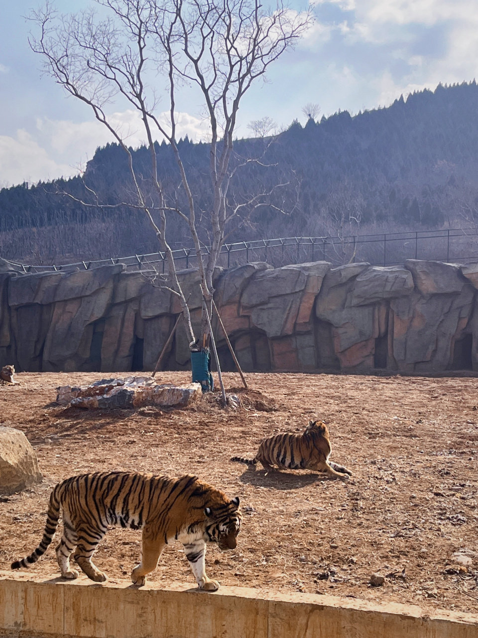 打卡徐州九顶山野生动物园009307 99关于位置:徐州市睢宁县