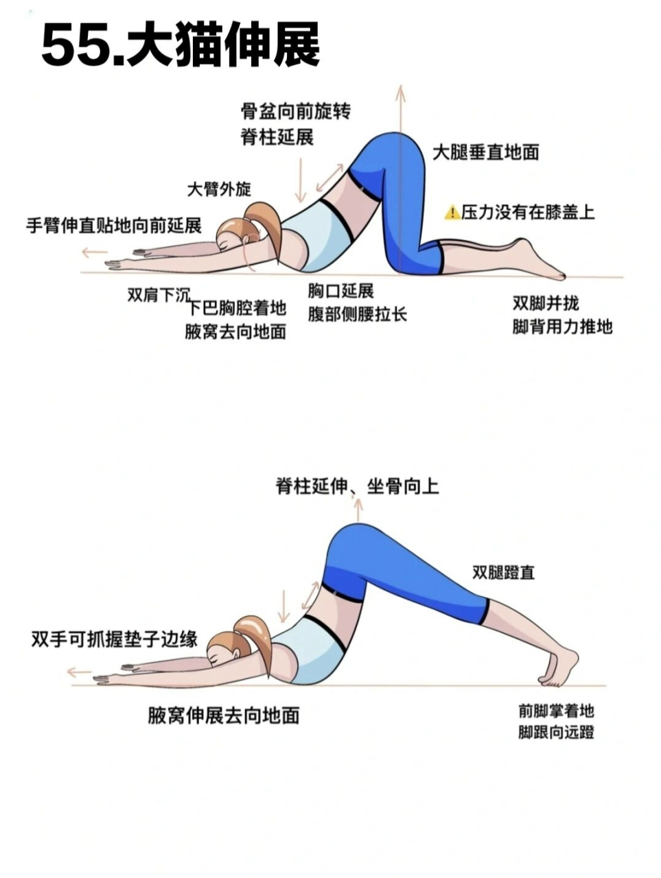 大猫伸展)持续更新 口令: 四脚跪姿准备 吸气,脊柱延展 呼气,手臂向前