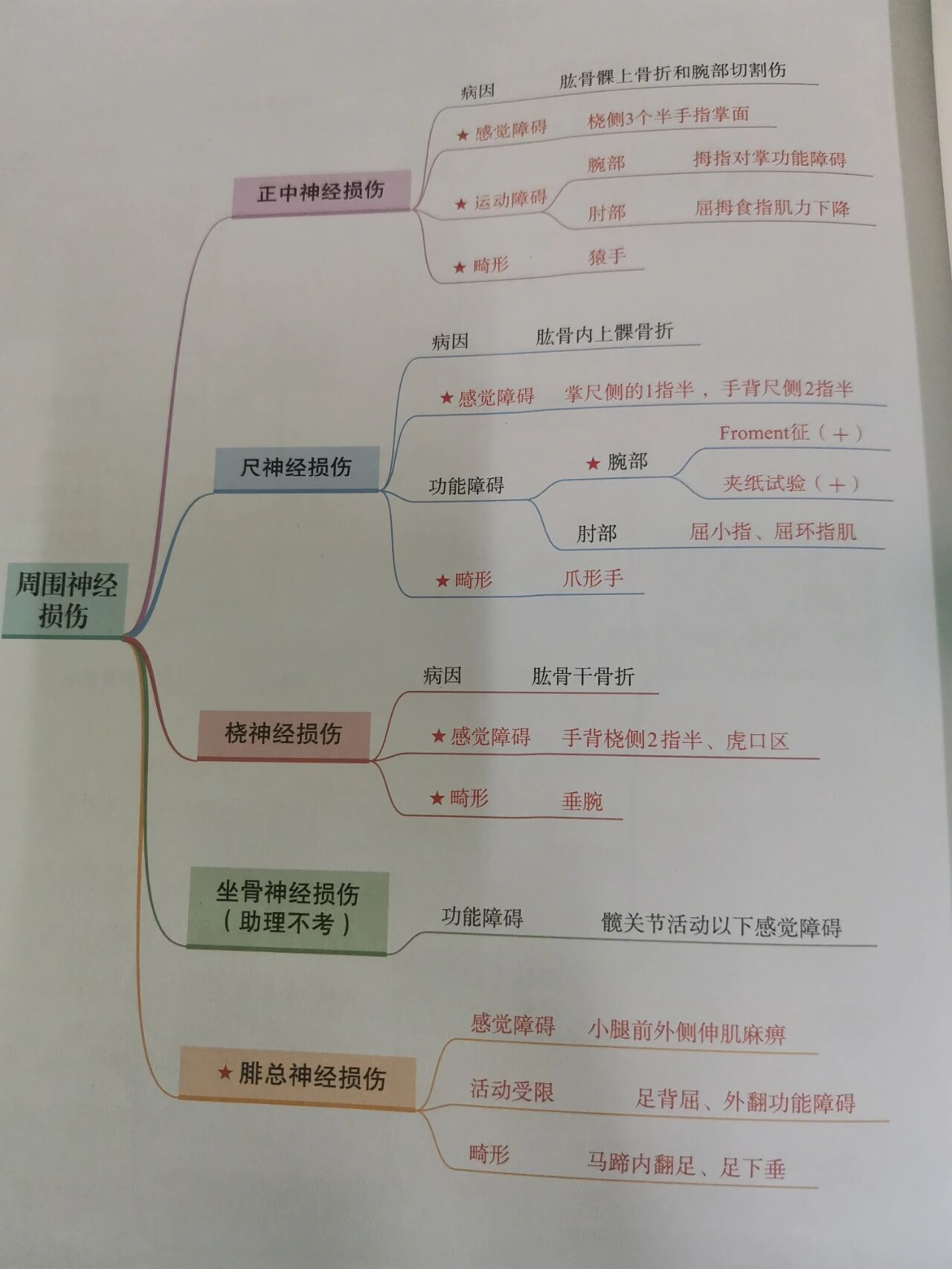 思维导图之运动系统