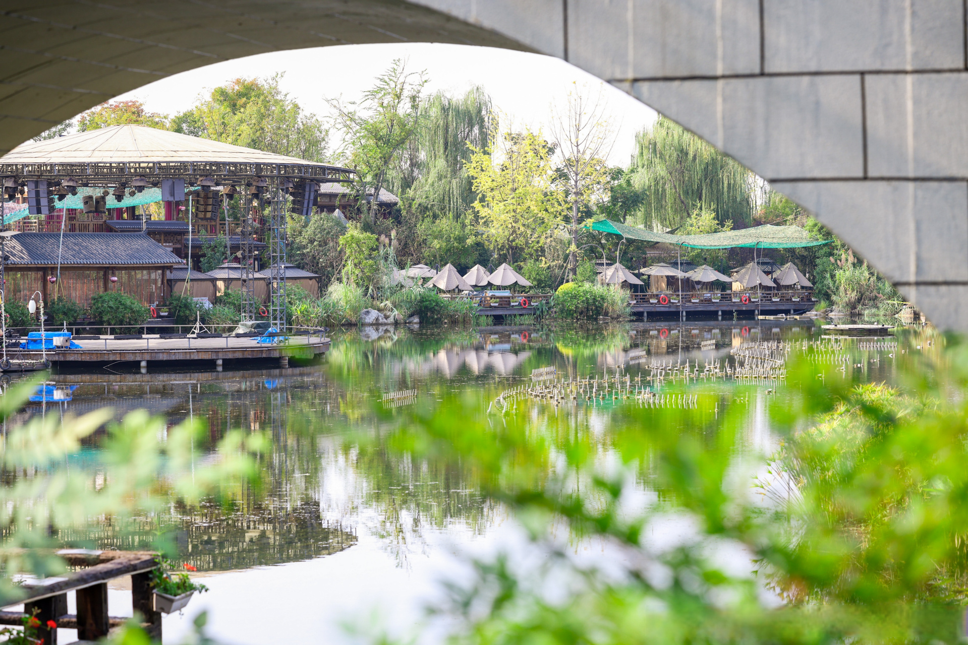 邂逅一片芙蓉花海】位于成都市武侯区环城生态带的天府芙蓉园,以"