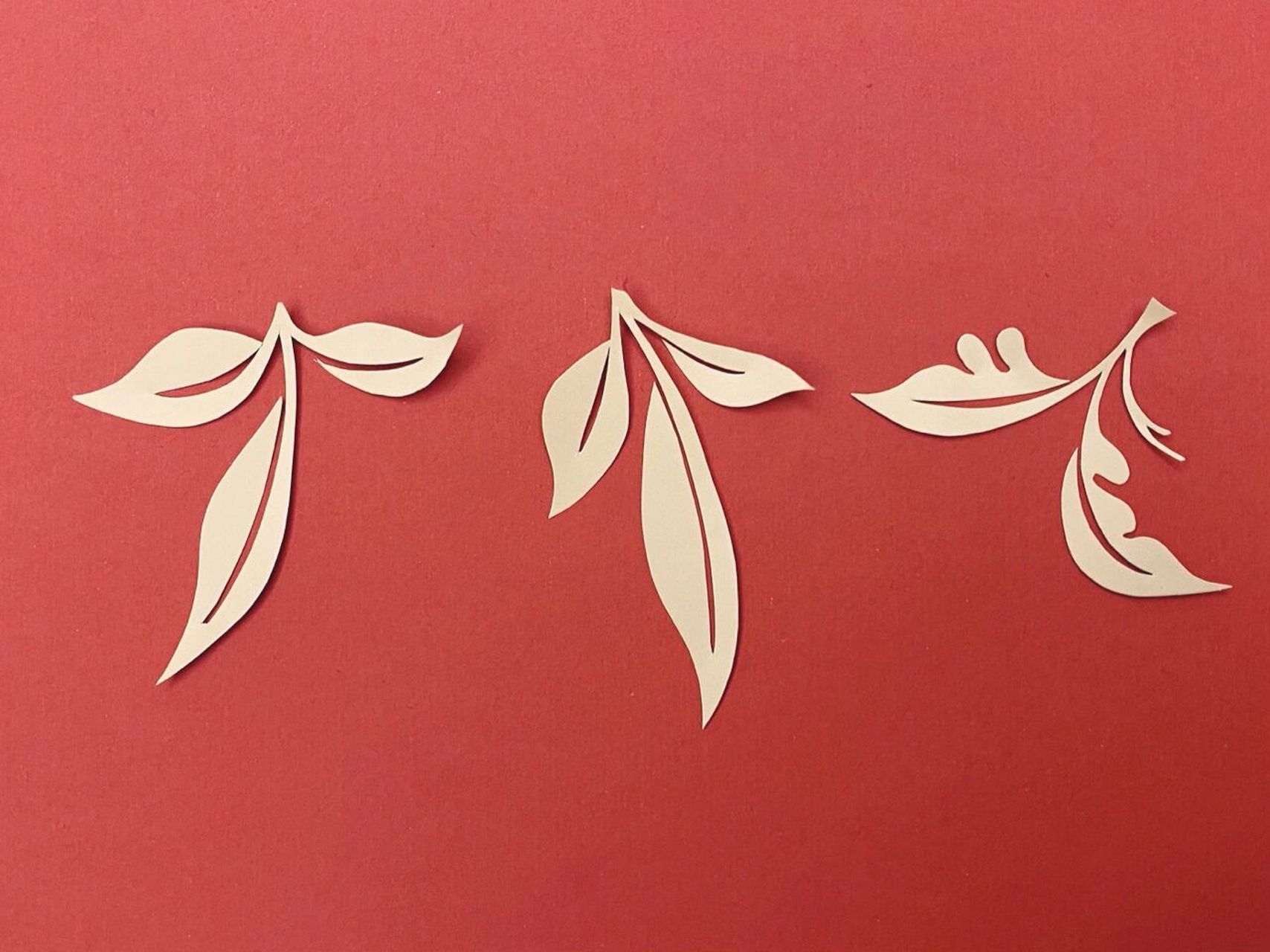 拿起剪刀试试吧 	 #手工剪纸#剪纸教程#叶子剪