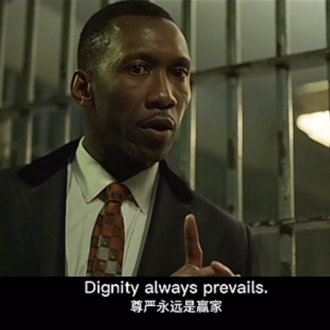 关于尊严7815 dignity always prevails 人,最重要的一定是尊严