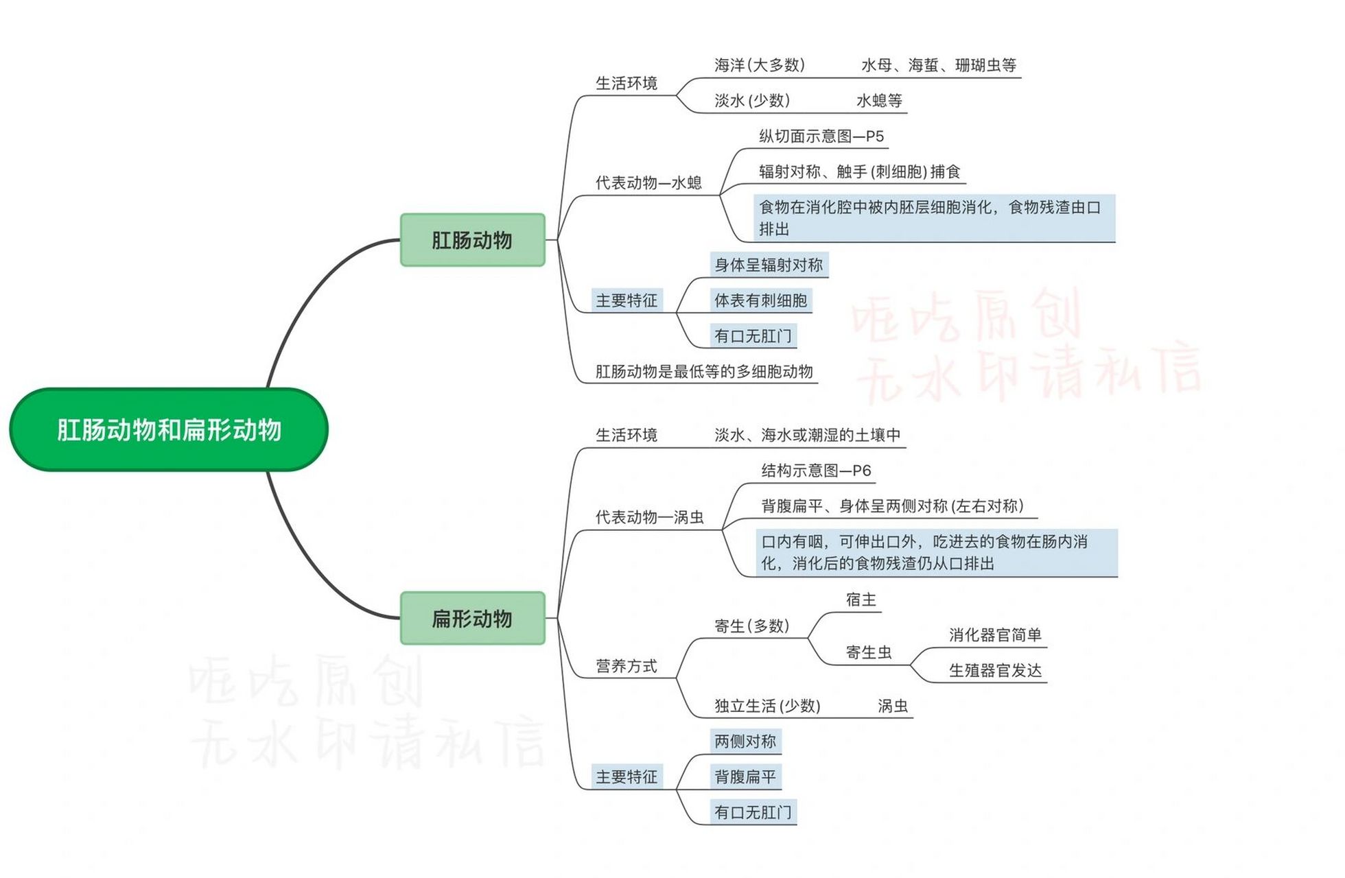 八上生物第一课思维导图 第一课奉上95 苯人今后会更新笔记类哒