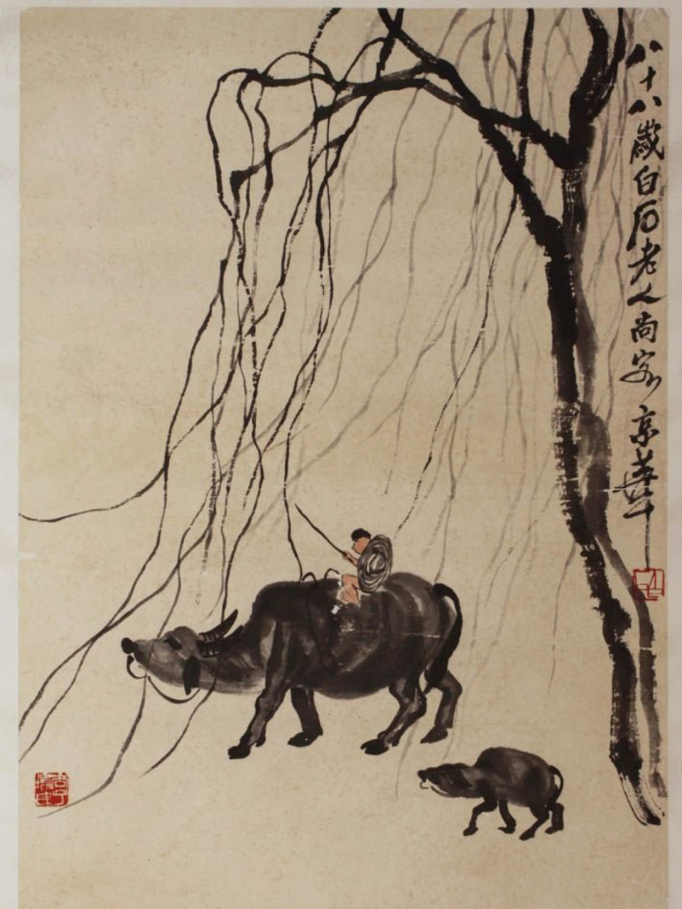 齐白石的牛 这幅《牧牛图》是白石爷爷八十八岁画的——细劲的柳枝触