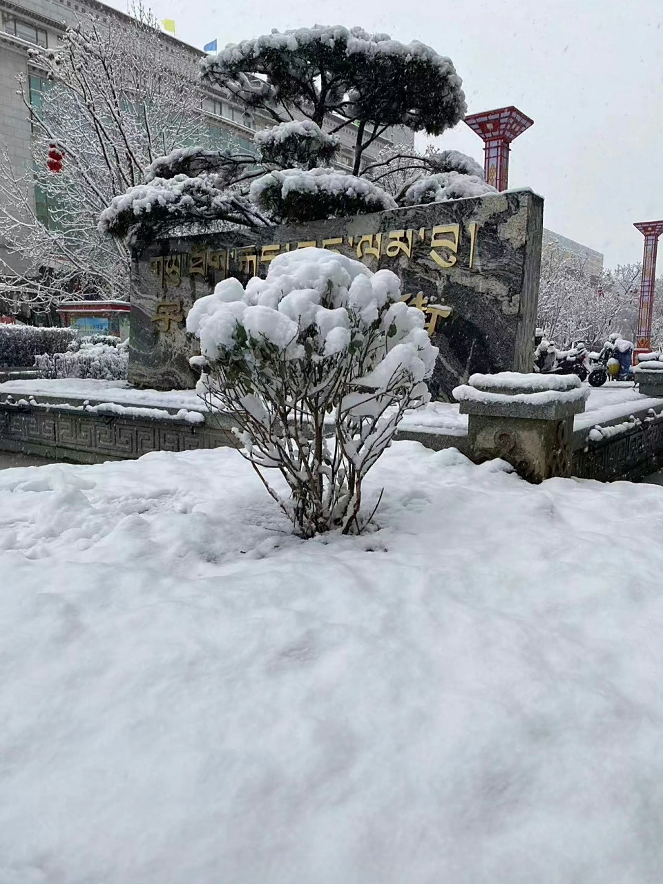 拉萨下雪##天气# 今天凌晨拉萨开始下雪,到11时降雪量已超过6厘米,雪