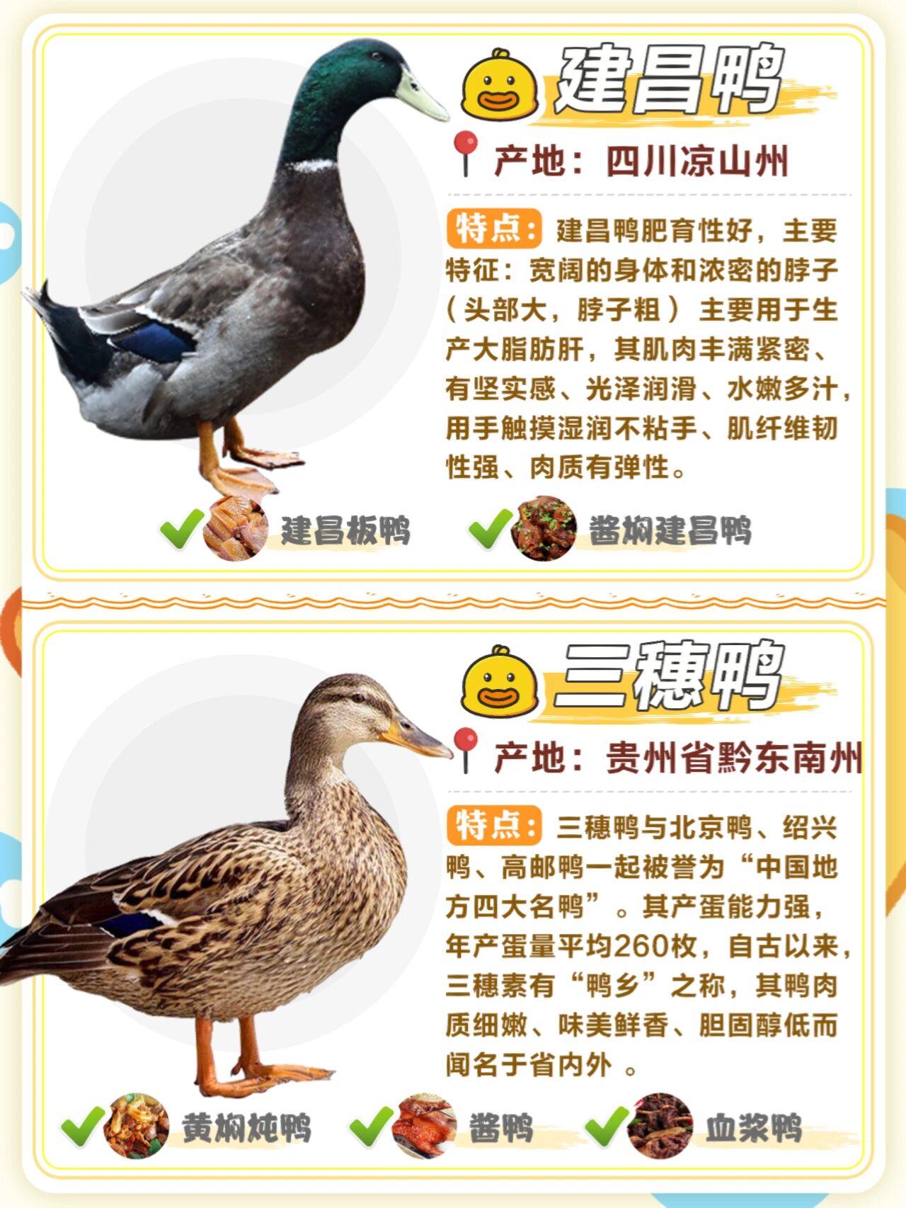 包含鸭子🦆品种的词条 第1张