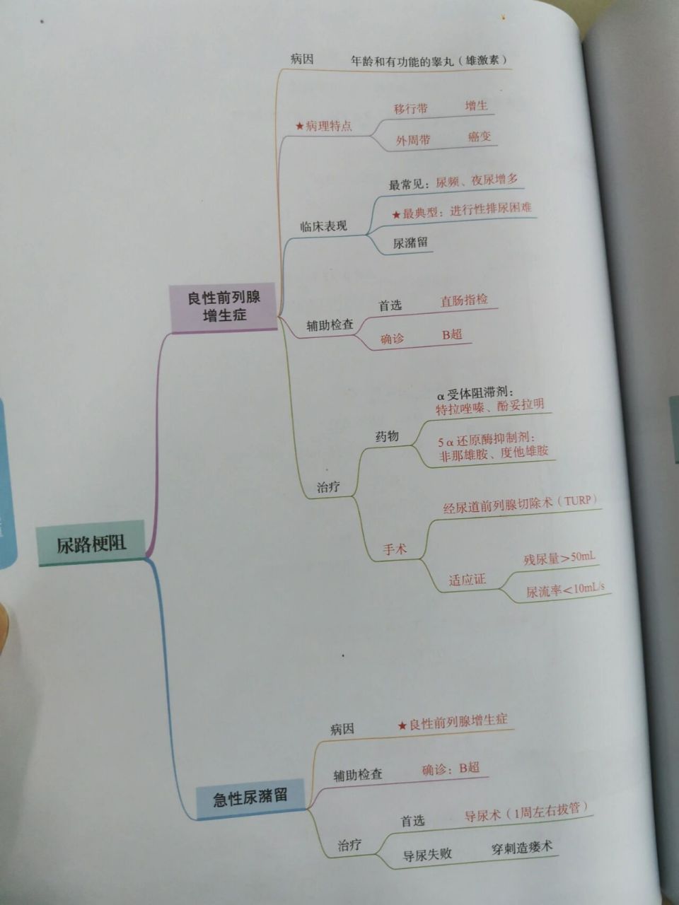 泌尿系统思维导图简单图片