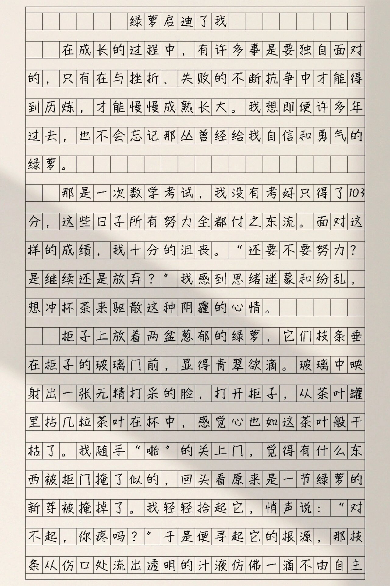 绿萝植物作文300字图片