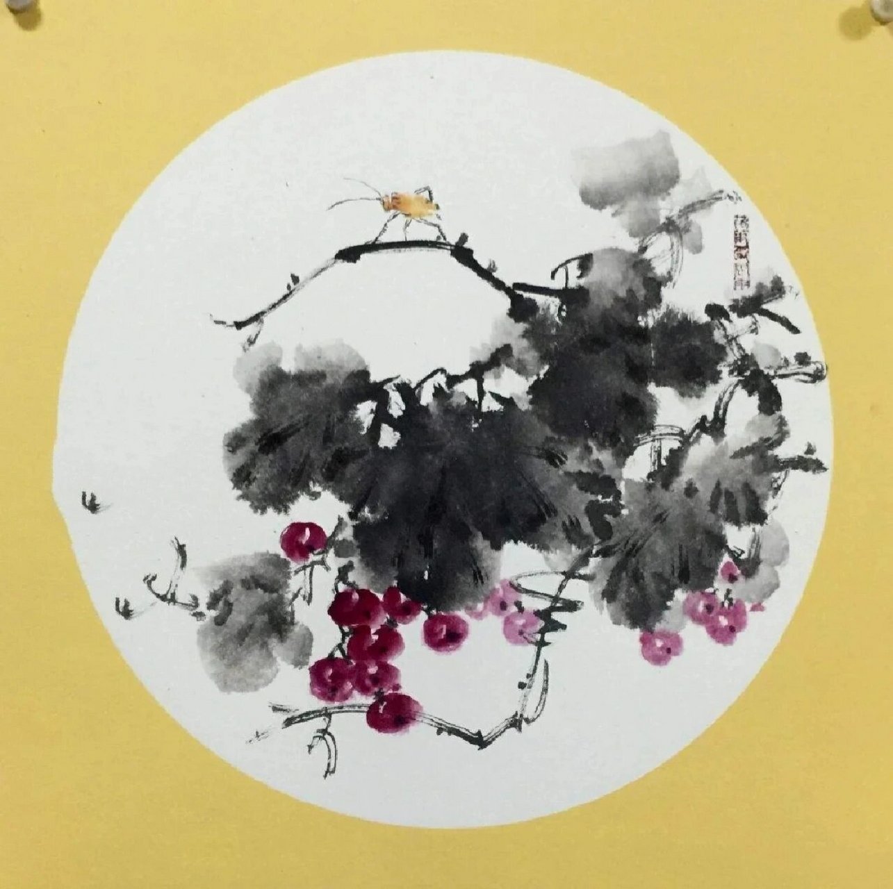 分享一组国画小品写意葡萄