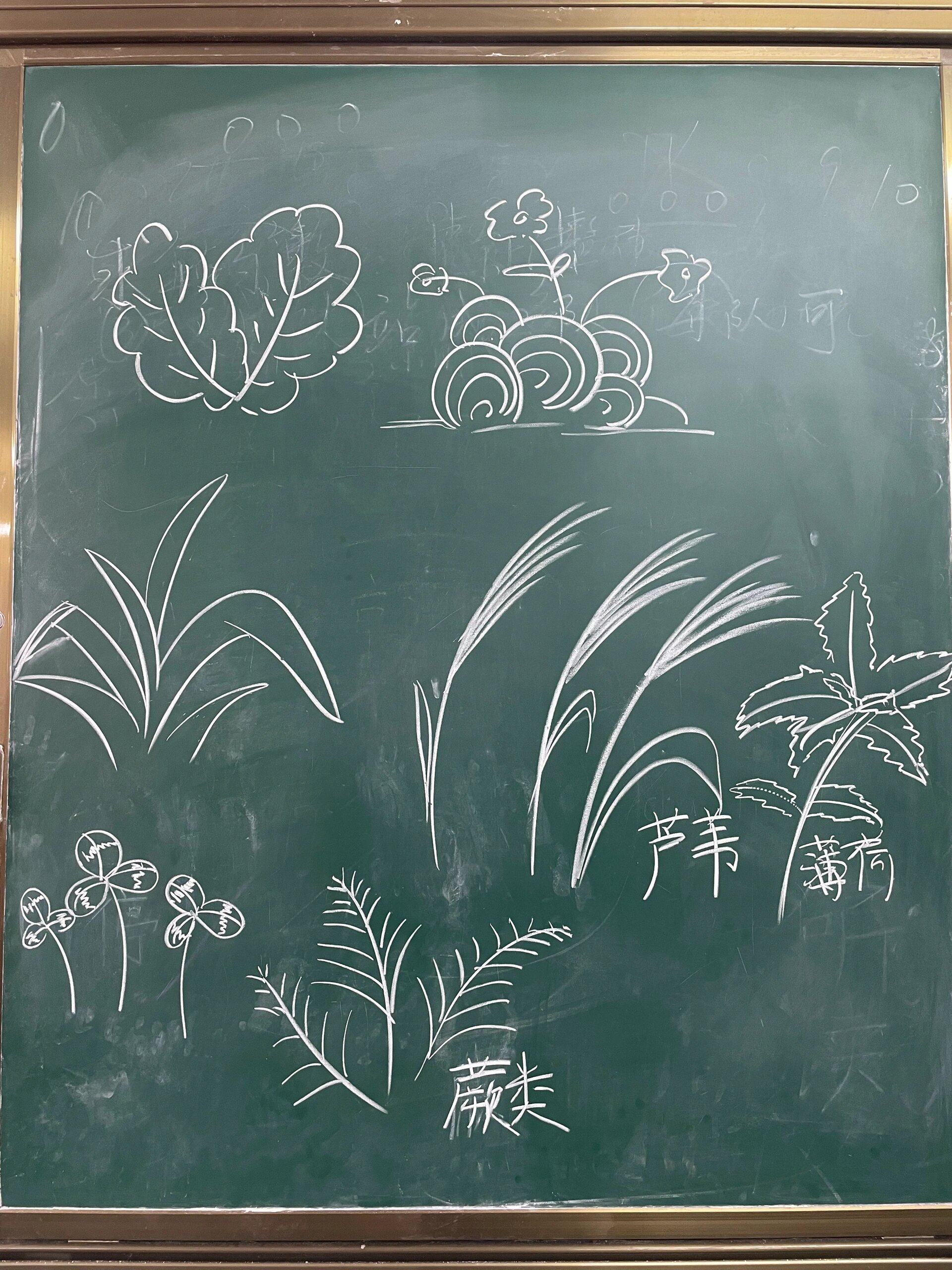 小学黑板画|花草树木合集
