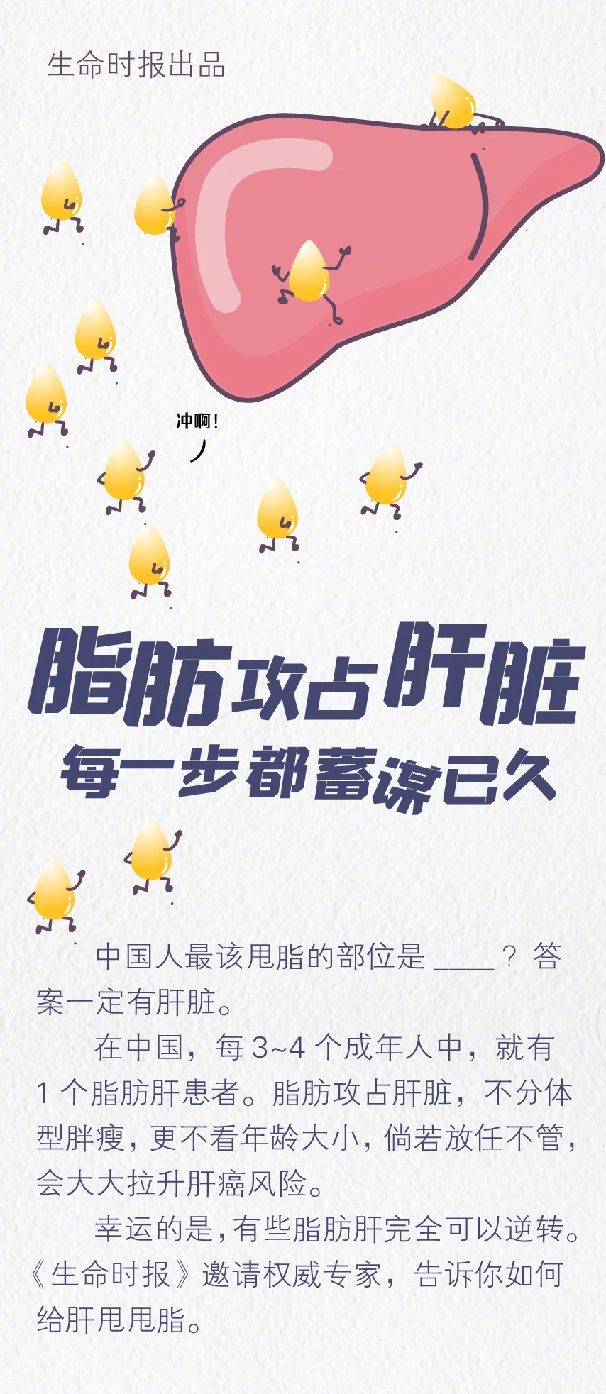 当肝细胞被脂肪撑大到一定程度,可能引发慢性炎症,若放任不管