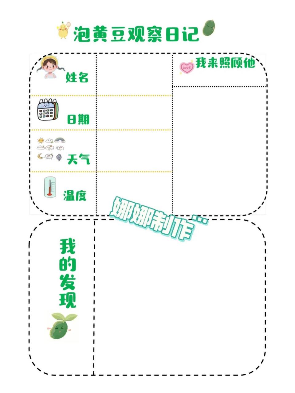现在更新水培黄豆观察记录表