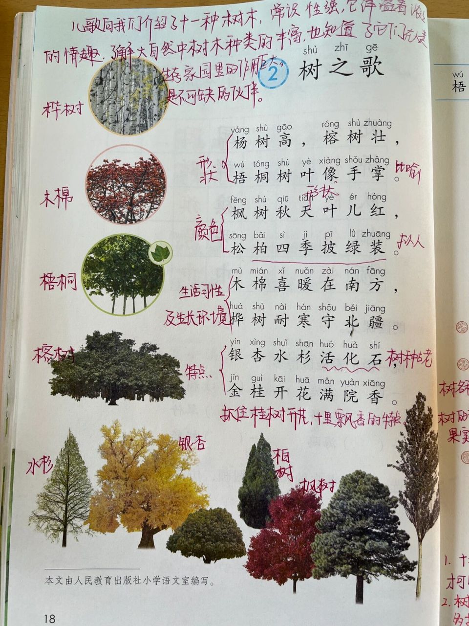 二年级上册语文《树之歌》 二年级本单元的主要是识字,写字为主,课文