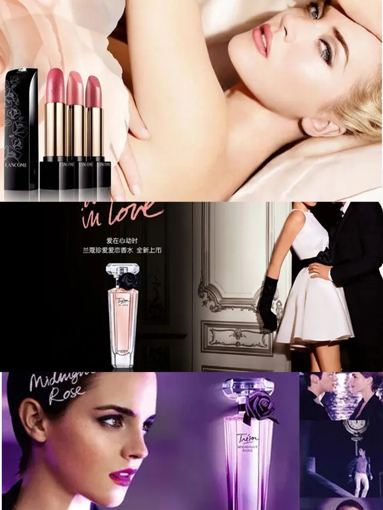 (兰蔻)法国"国宝级"美妆品牌 7315品牌介绍 1935年由阿曼达·珀蒂