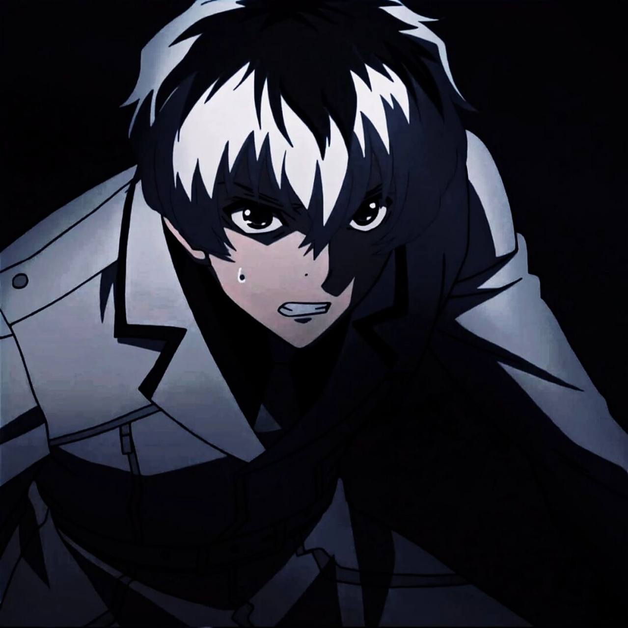 金木研 动漫 好看的头像 #金木研 #动漫男头