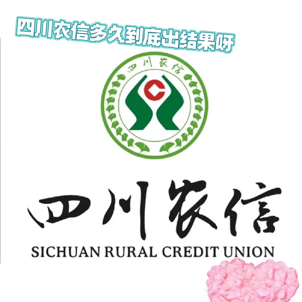 四川农信结果