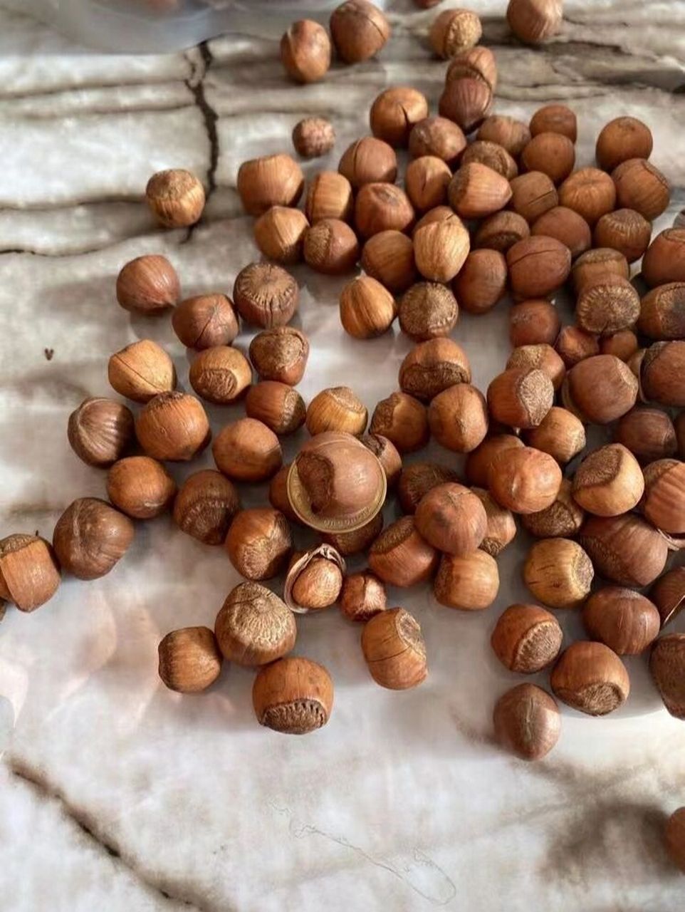 东北野生榛子 91 森林精挑榛子,成熟饱满,健脾补脑专家!