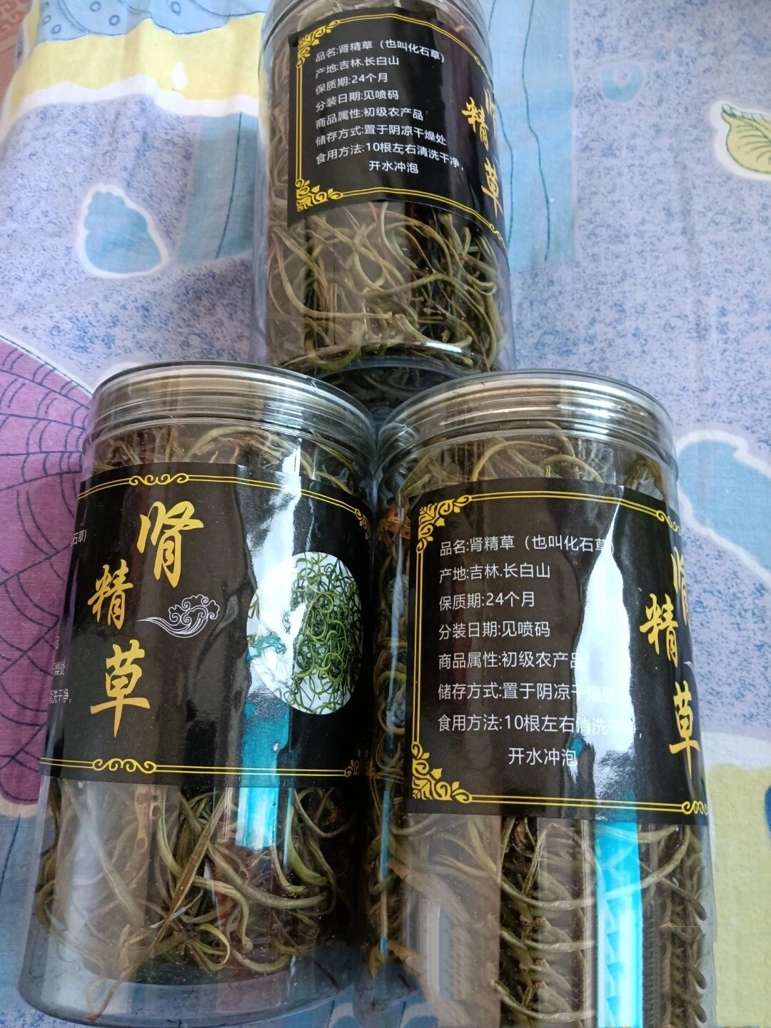 肾经草的功效与作用图片