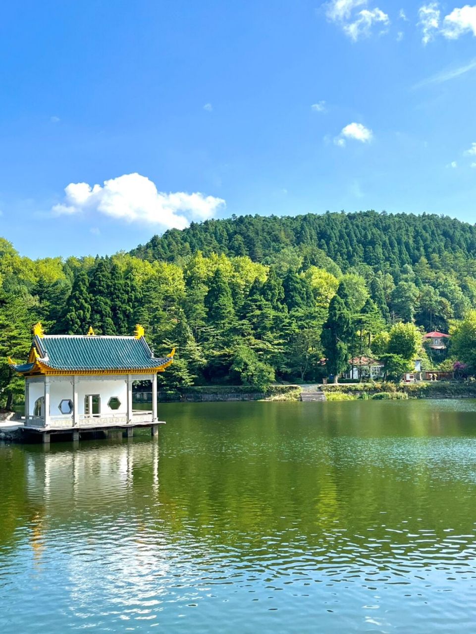 每个夏天都要来一次的庐山 景色真的很美～ 没去过什么景点 最喜欢的