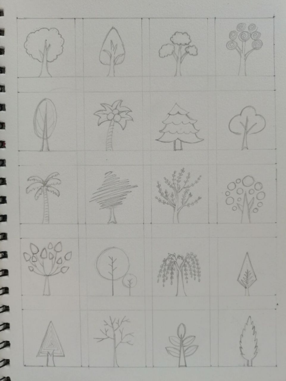 7715花朵在秋天凋零 但梦想随时都可以发芽 	 ##画画# #简笔画