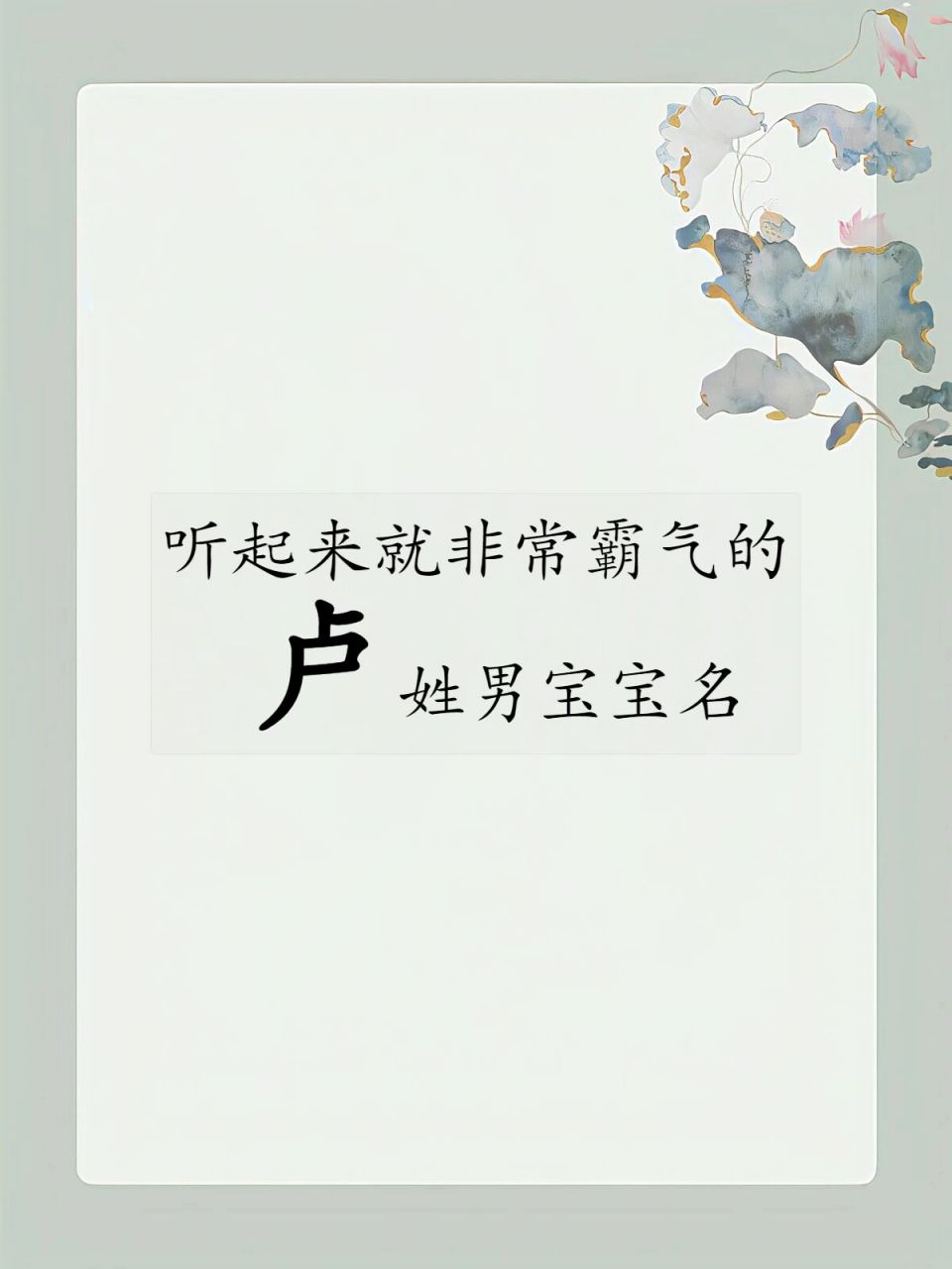 一听就很霸气的卢姓宝宝名字推荐 5月10日出生的姓卢的男宝宝起名案例