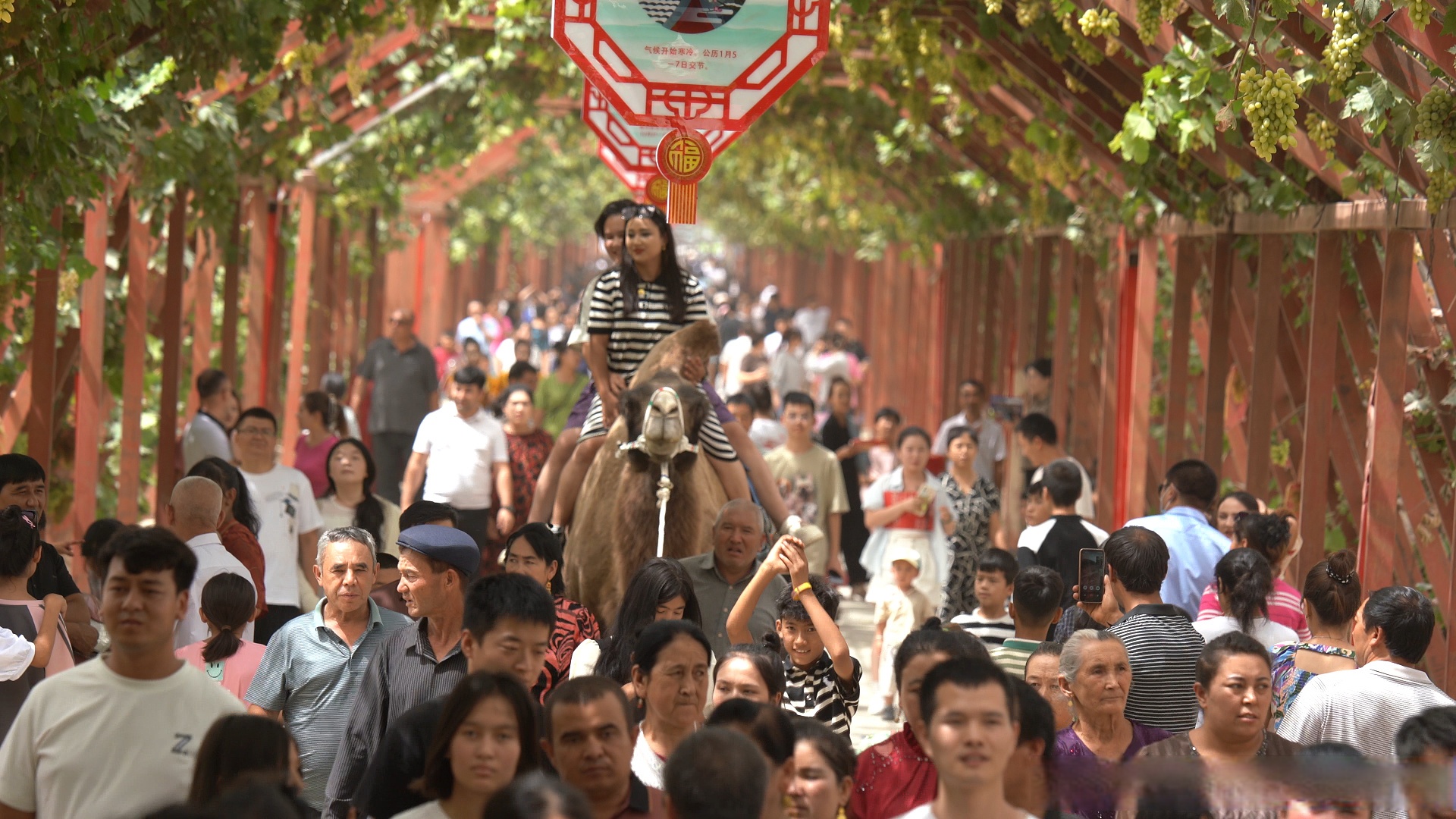 8月25日,墨玉县第七届葡萄文化大集活动在墨玉县喀瓦克乡人民广场