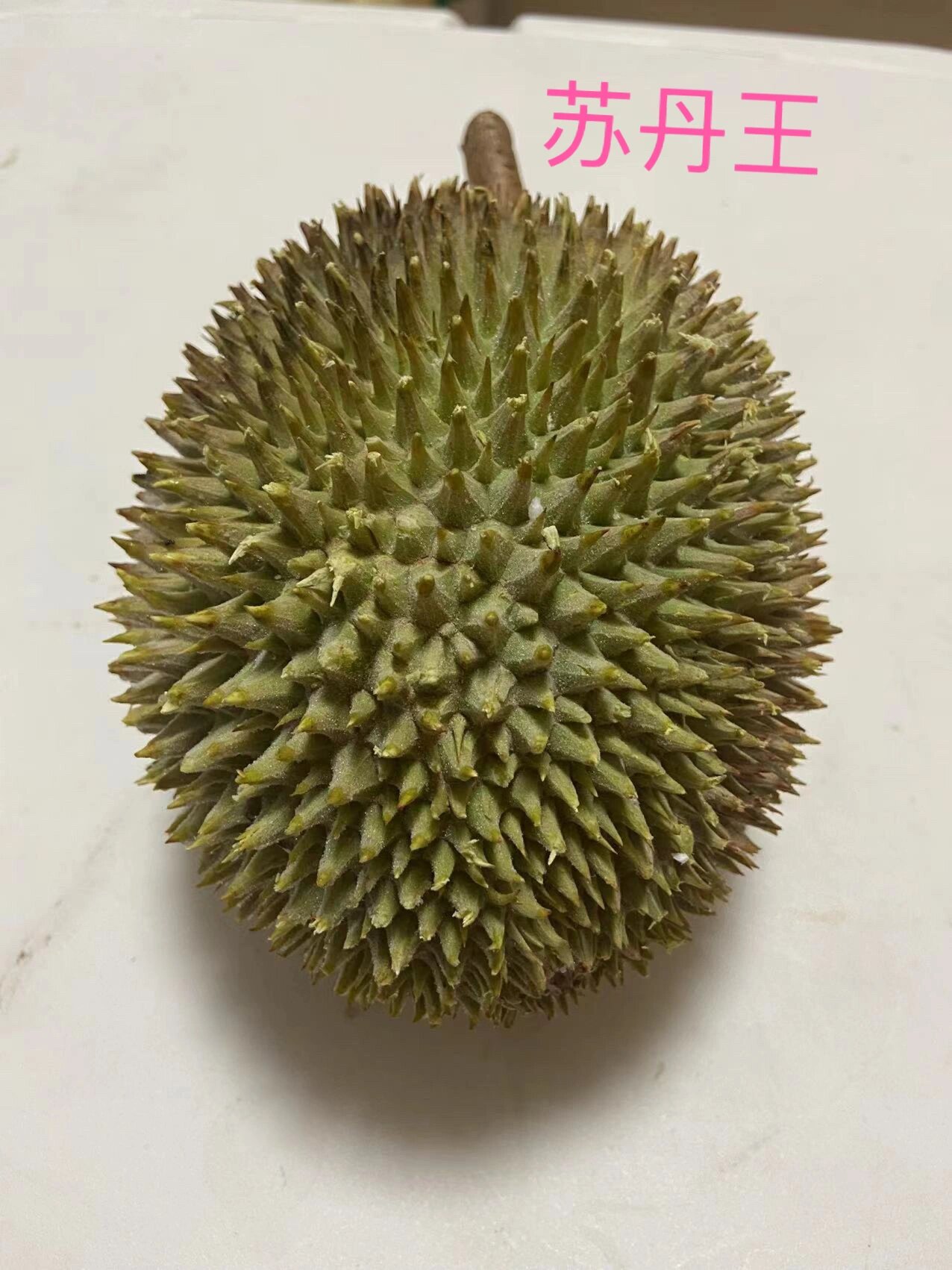 d24苏丹王榴莲 d24是指马来西亚产的"苏丹王榴莲"别称,比较大众,土壤