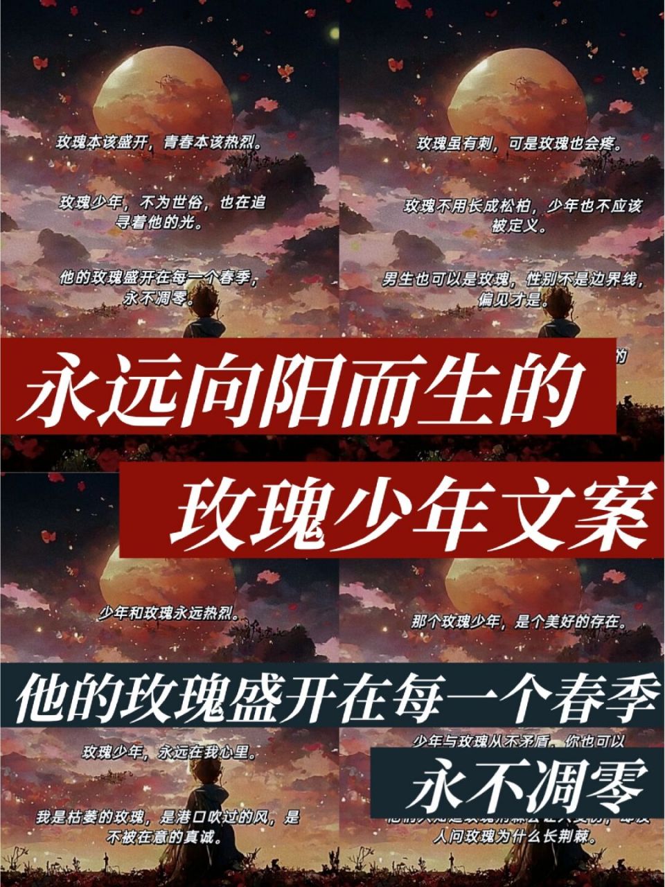 玫瑰少年文案图片