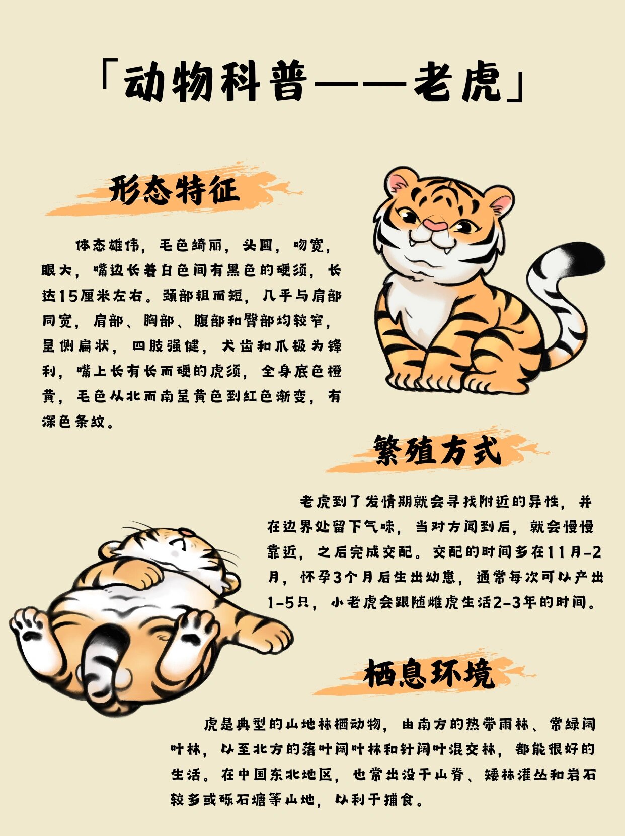 认识森林之王——老虎91