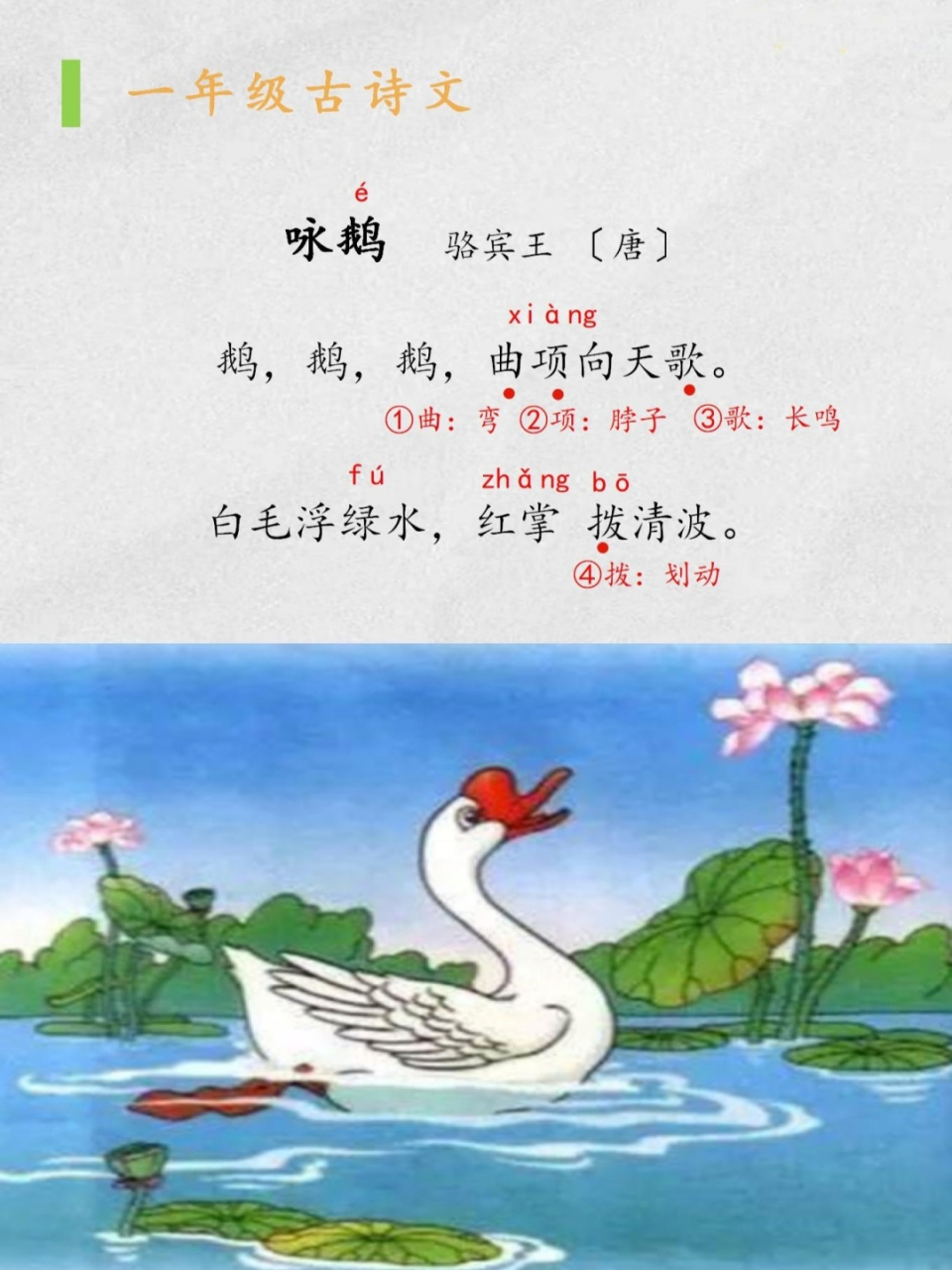 小学古诗:《咏鹅》 《咏鹅 》    骆宾王 〔唐〕 鹅,鹅,鹅,曲项向天歌