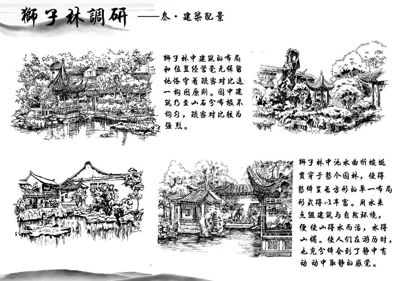 狮子林调研分析99