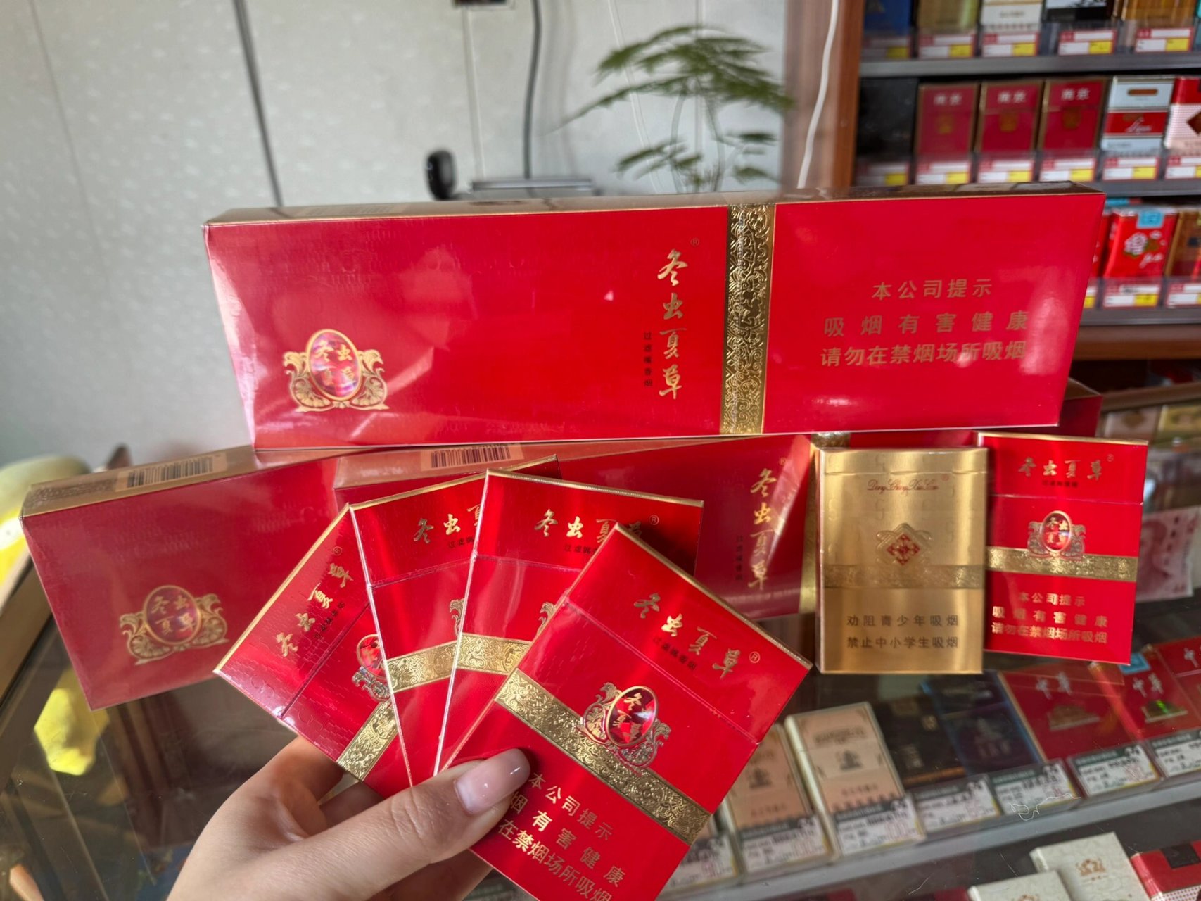 冬虫夏草红中支 冬虫夏草是一种传统的名贵滋补中药材,冬虫夏草香烟的