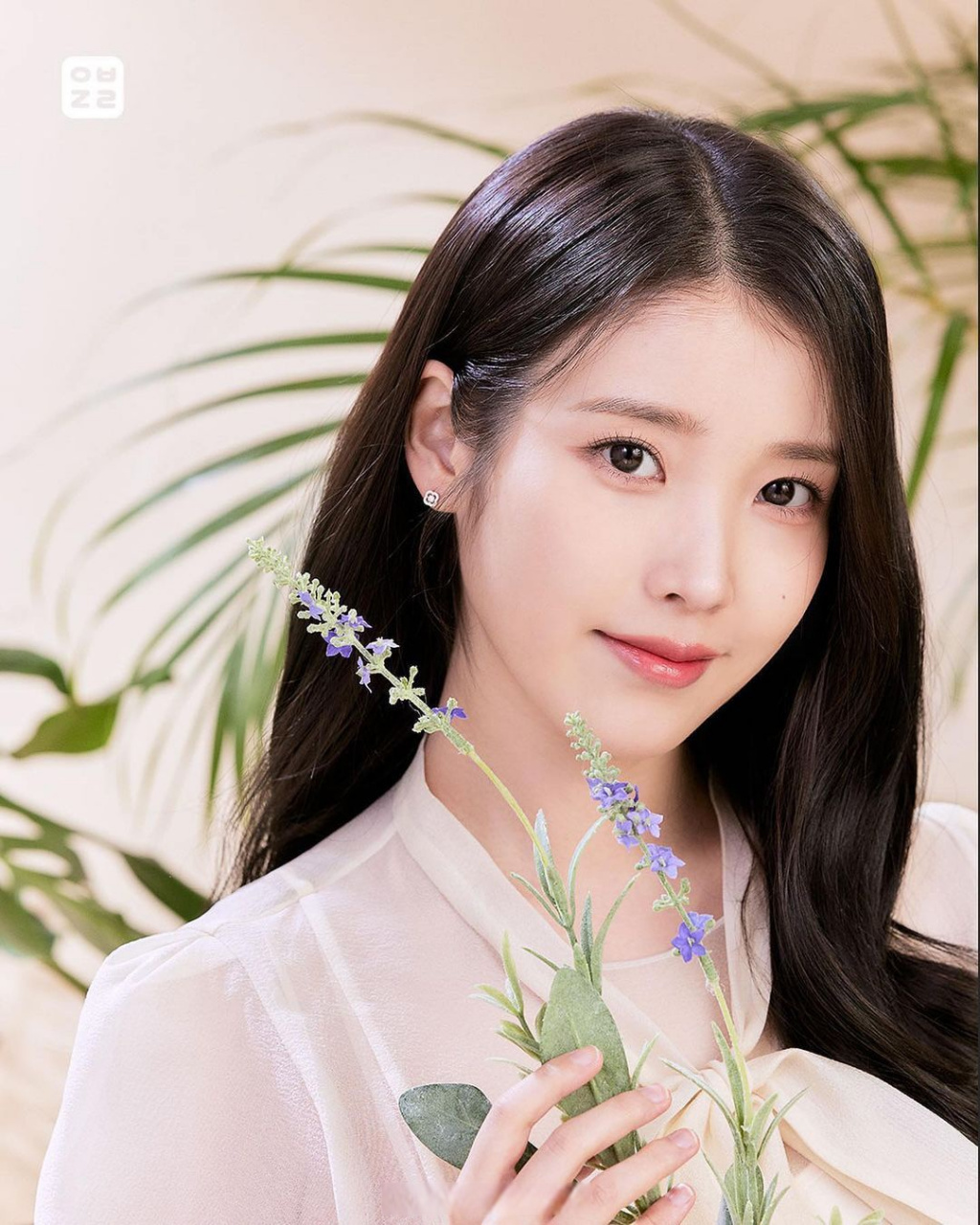 iu 连衣裙brideandyou