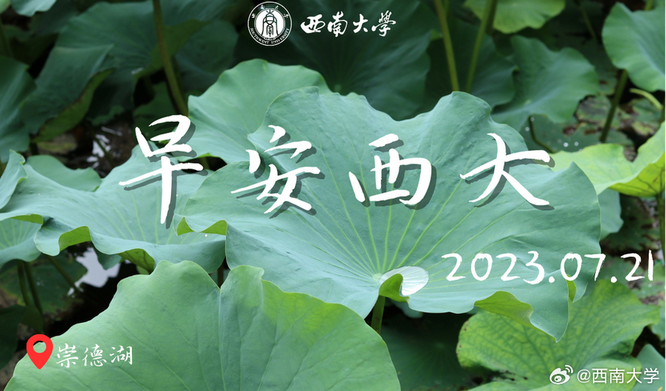 西大晨之美#  长夜破晓,少年迎着朝阳,风华正茂. 早安,西大