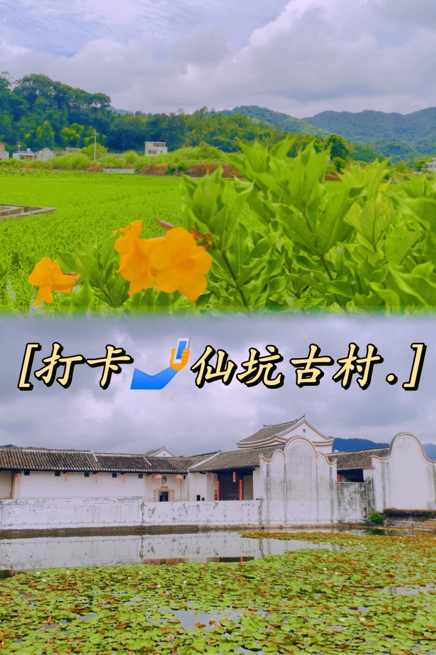 慵懒好去处~        	 从市区自驾到康禾仙坑村需要一个小时(高速)