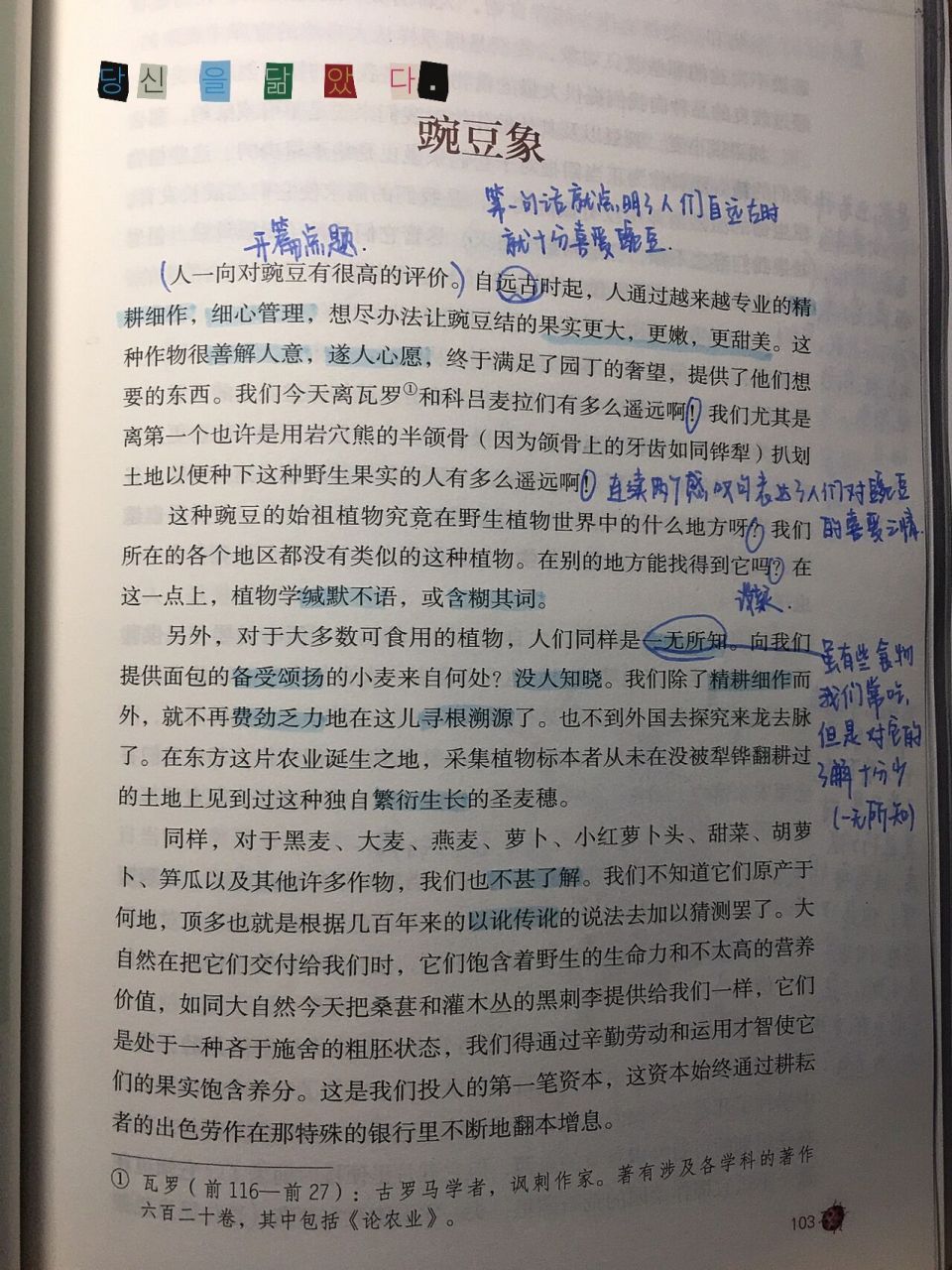 豌豆象 昆虫记章节阅读批注 感受 豌豆象 纯原创!