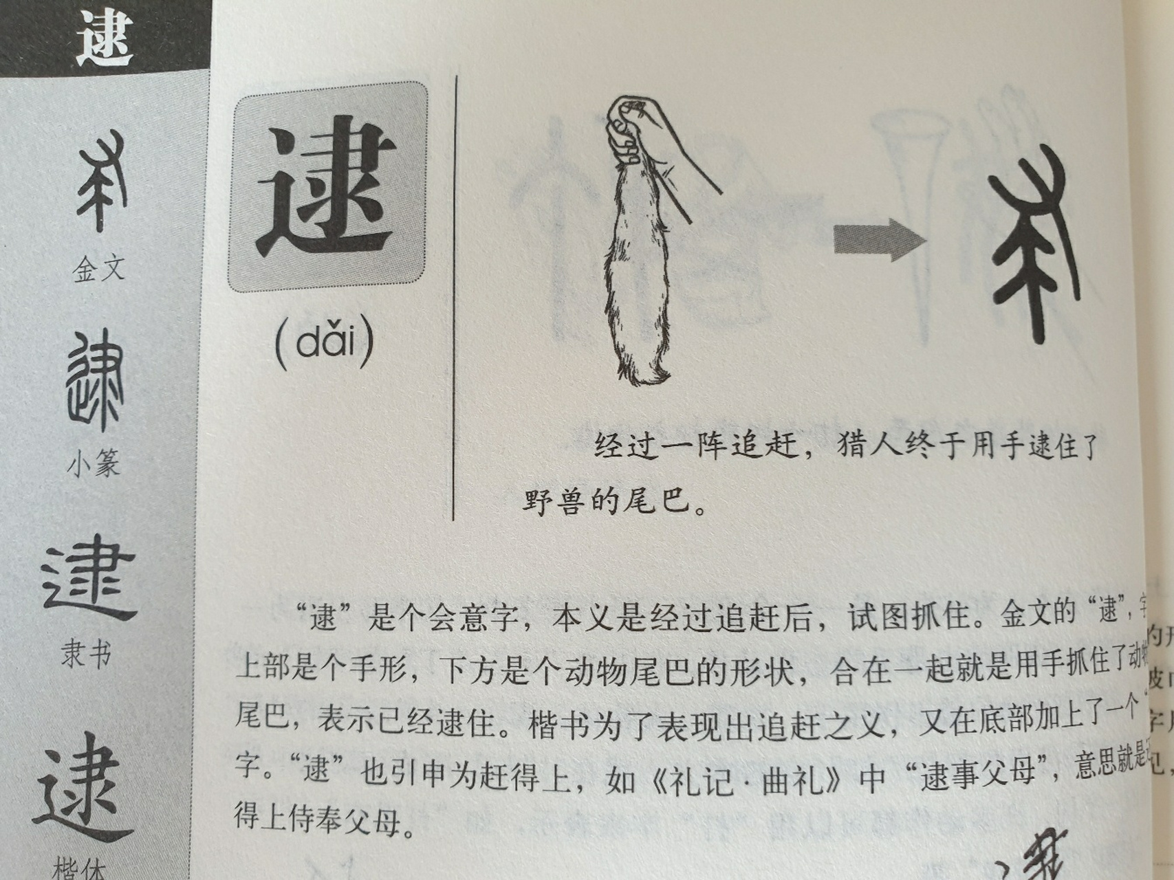 今天学"逮"字 会意字,本义是逮住动物的尾巴;刀耕火种时期,打猎果腹