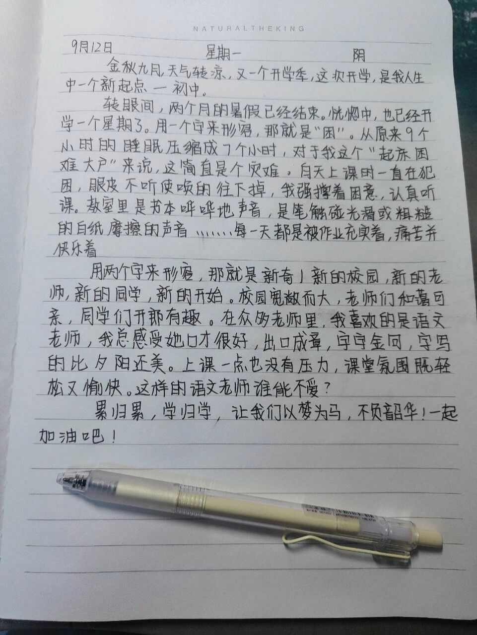 周记怎么写初一图片