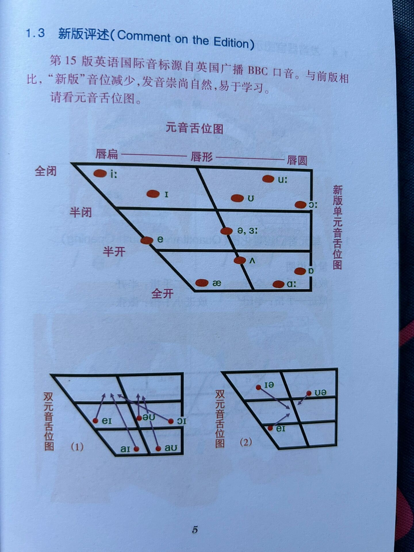 nl发音图解舌位图图片