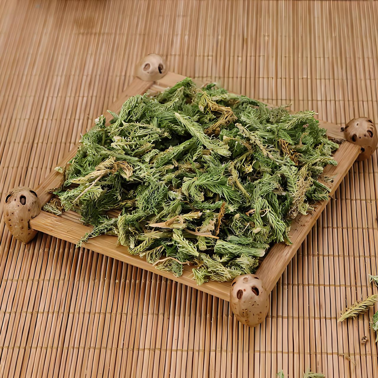 筋骨草的图片 筋骨草是多年生草本植物,根系发达,叶子细长,花朵小巧