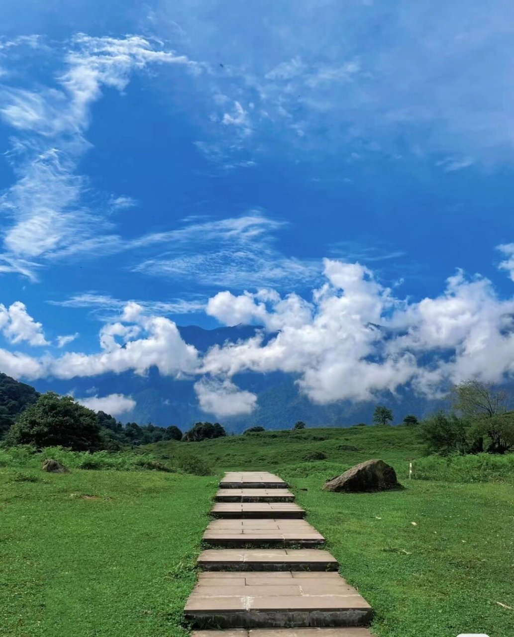 1沐川竹海 竹林 流水瀑布 断岩拍照 徒步爬山 吸氧 层峦叠翠的竹林真