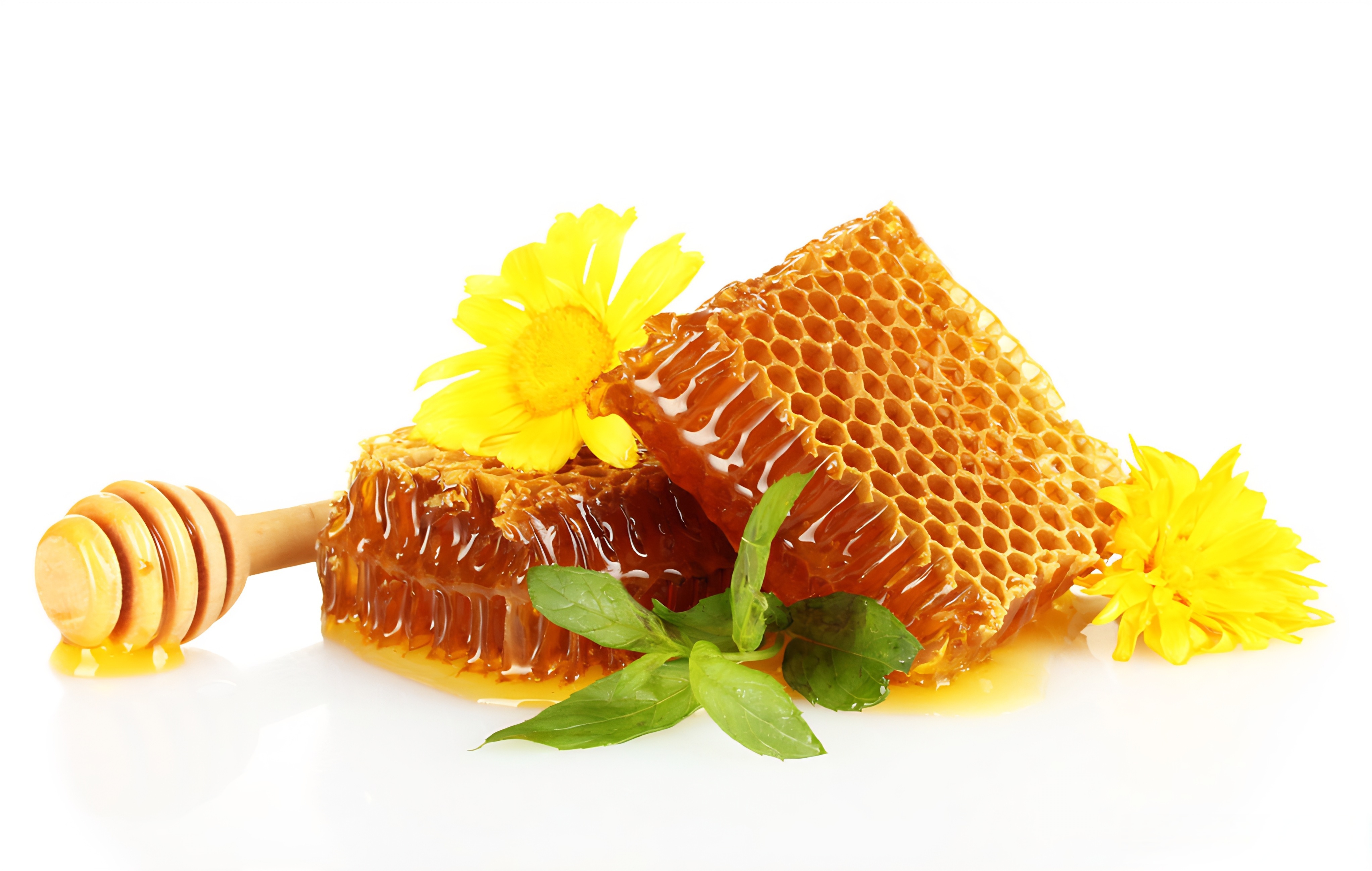 哪类人不能喝蜂蜜水(哪些人群不适合喝蜂蜜水) 哪类人不能喝蜂蜜水(哪些人群不适合喝蜂蜜水)