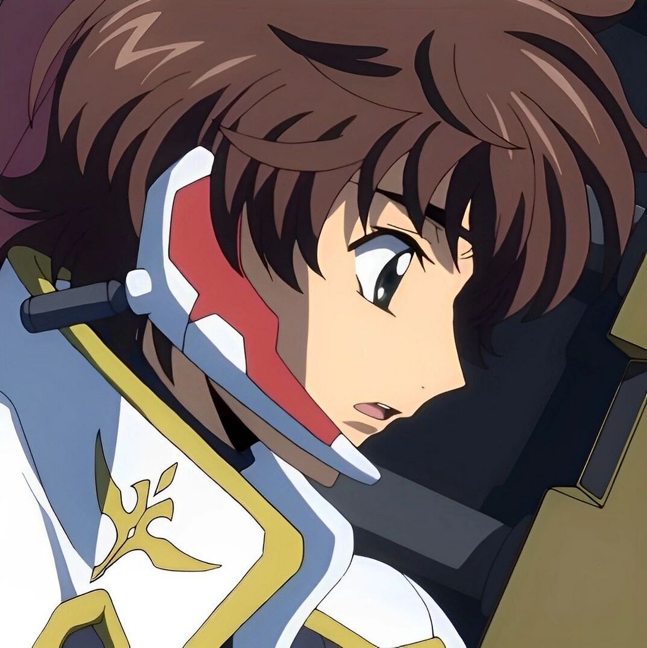 谢谢 #反叛的鲁路修# #叛逆的鲁鲁修# #枢木朱雀# #动漫男生头像