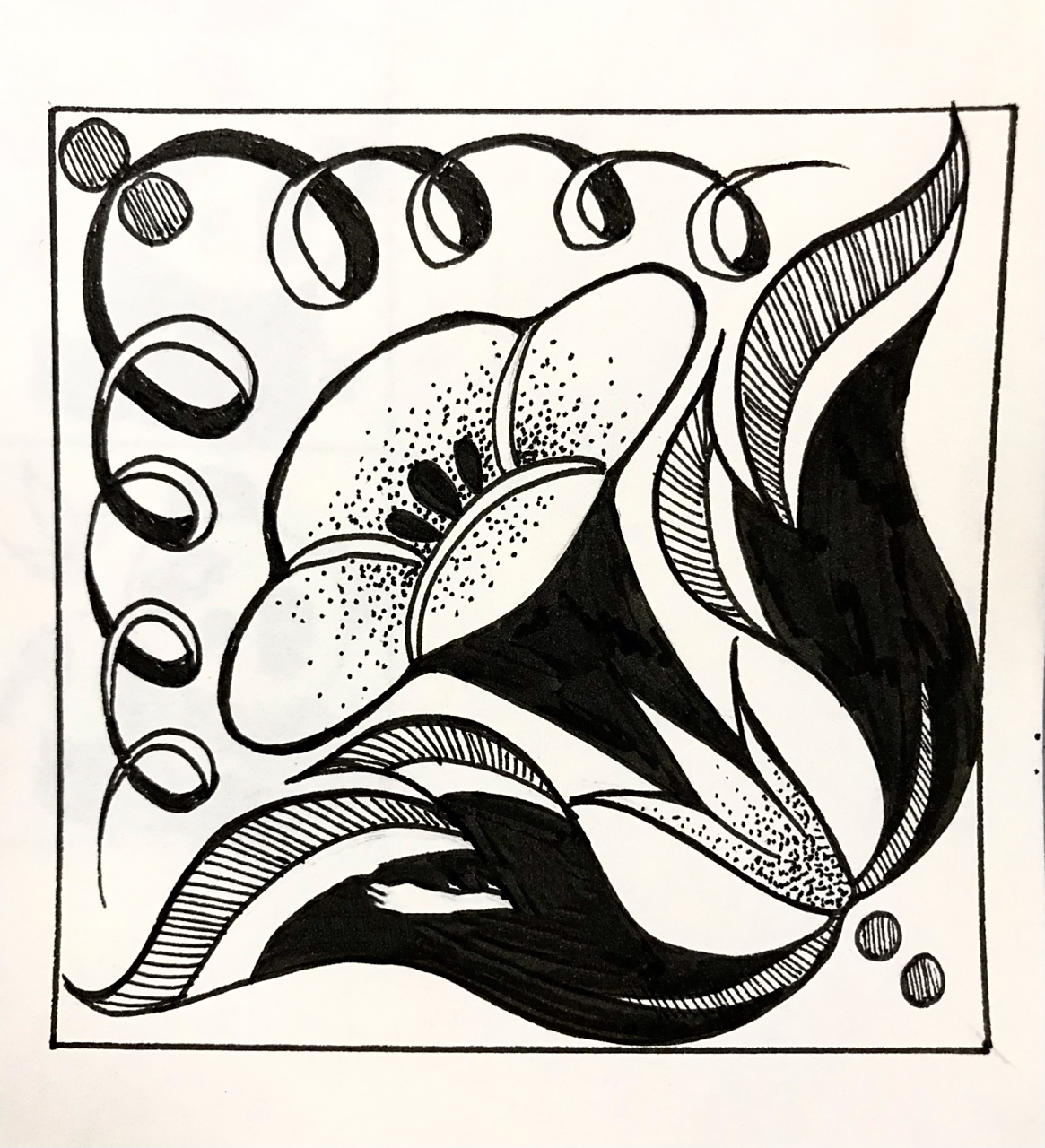 花卉纹样 适合纹样创作 临摹请标明出处