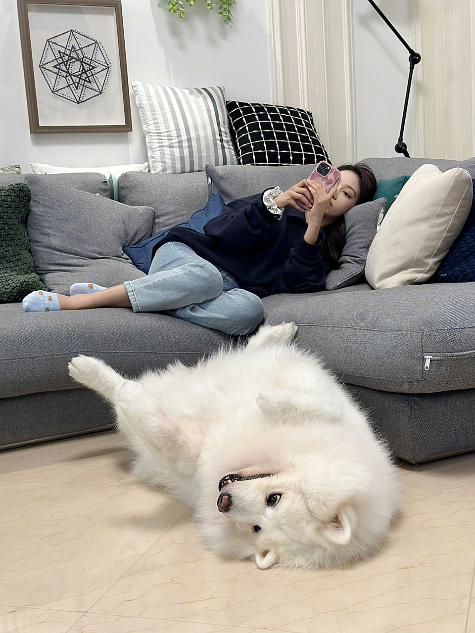 以前我给大睿睿看妞妞的照片 妞妞四仰八叉躺在家里 她问:妞妞为啥躺