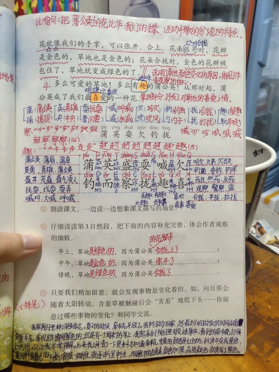 三年级语文上册16.金色的草地 课堂笔记