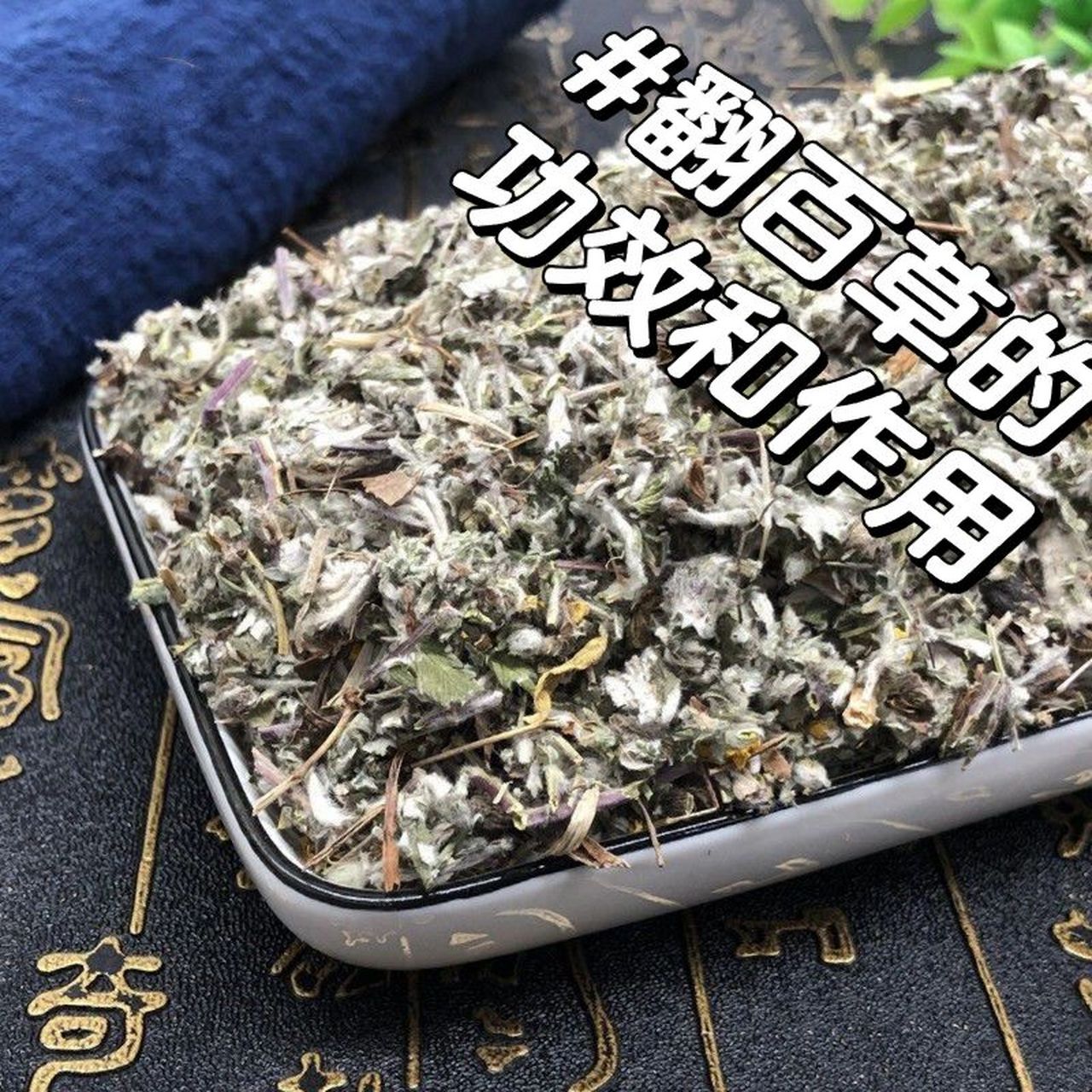 翻百草04解毒,止血,镇痛 翻白草 95功效与作用 解毒,止血,镇痛 1